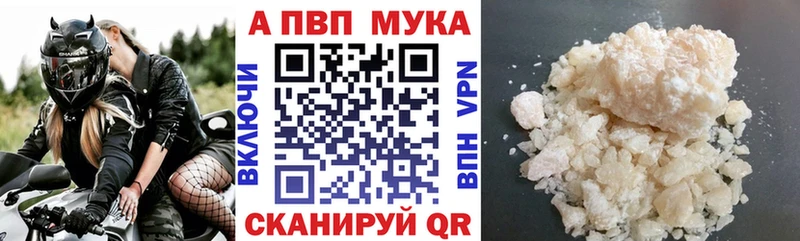 купить наркотики цена  Сальск  ссылка на мегу вход  A PVP мука 