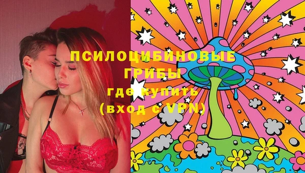 гашик Ростов