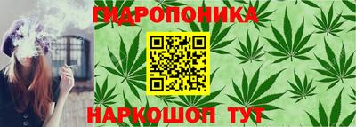 стаф Славянск-на-Кубани