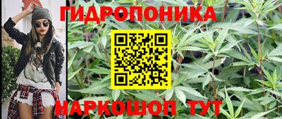 стаф Славянск-на-Кубани