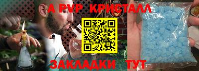 сатива Славгород