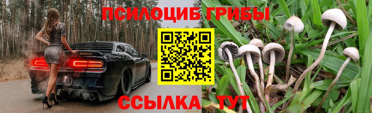 Галлюциногенные грибы Psilocybine cubensis  Галлюциногенные грибы MAGIC MUSHROOMS  Вход с VPN  Сальск 